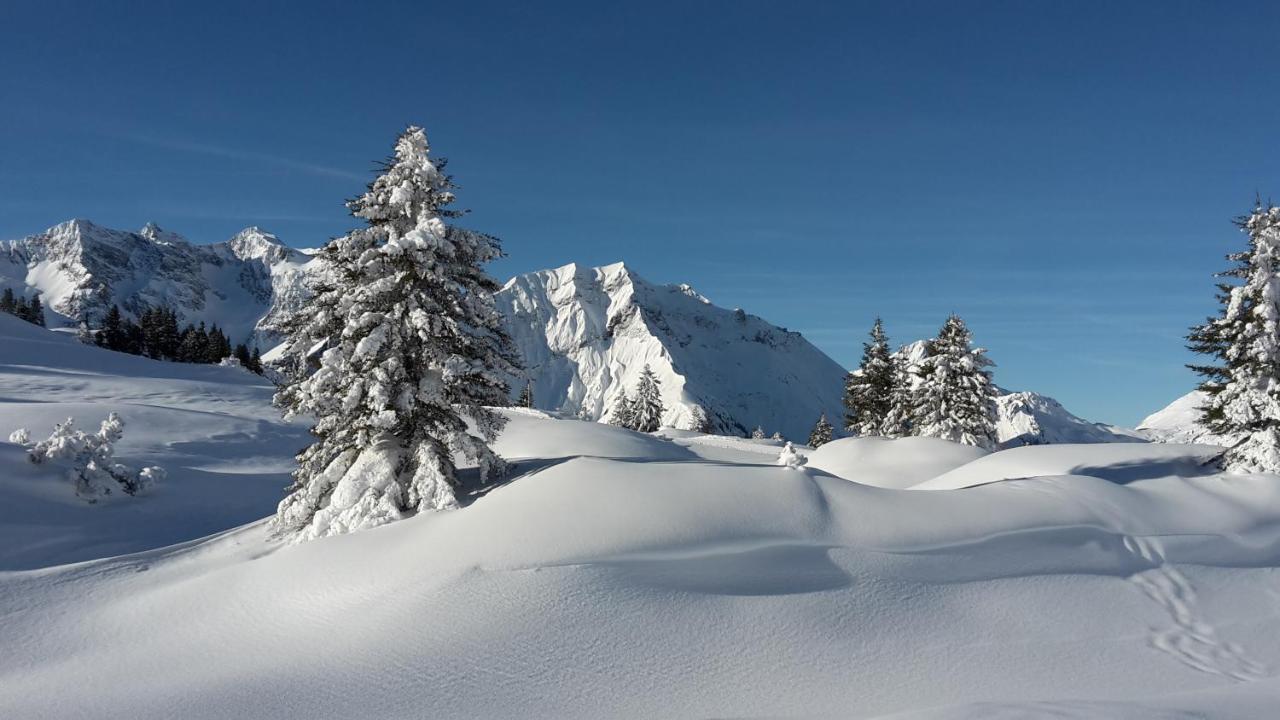 Landhaus Marion Holzgau Bagian luar foto